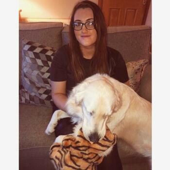 Babysitter in Athlone: Katie