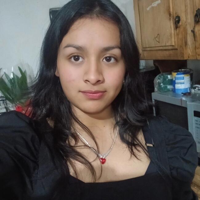 Babysitter in Soledad de Graciano Sánchez: Victoria Elizabeth García Reyn