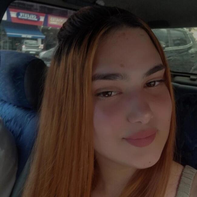 Babysitter in São Paulo (São Paulo): Emily Vitória