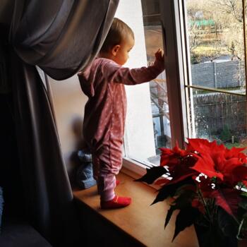 Babysitting job in Brno: babysitting job Nikila
