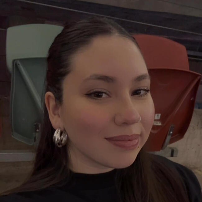 Babysitter in Talca: Cami