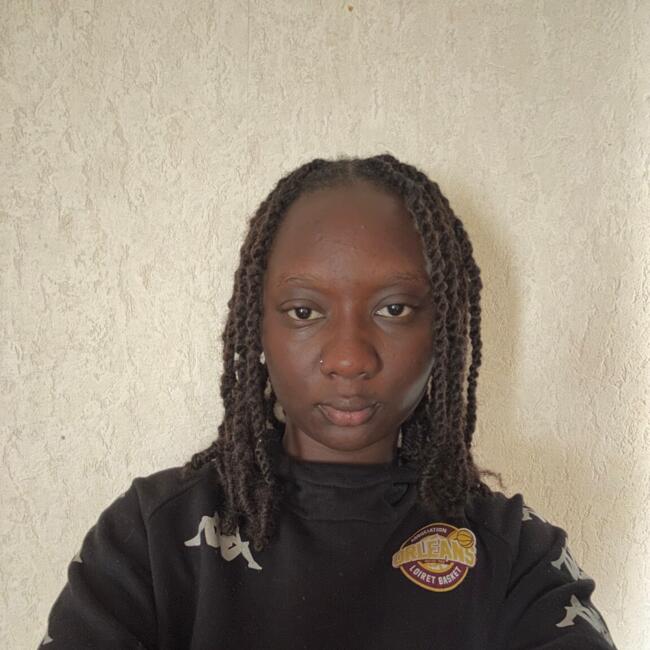 Babysitter in Fleury-les-Aubrais: Houleye