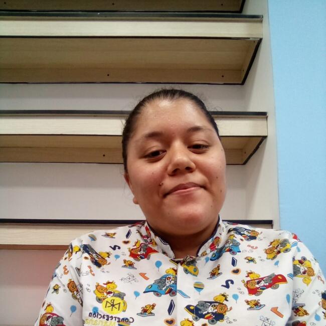 Babysitter in Bucaramanga: Sharon minelly