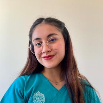 Babysitter in Padre Hurtado: Fernanda Tamayo