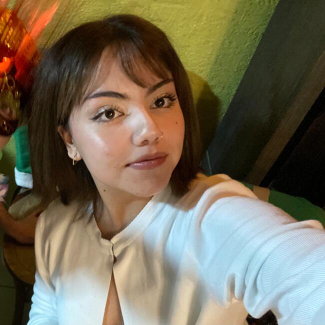 Babysitter in Santiago: Agustina