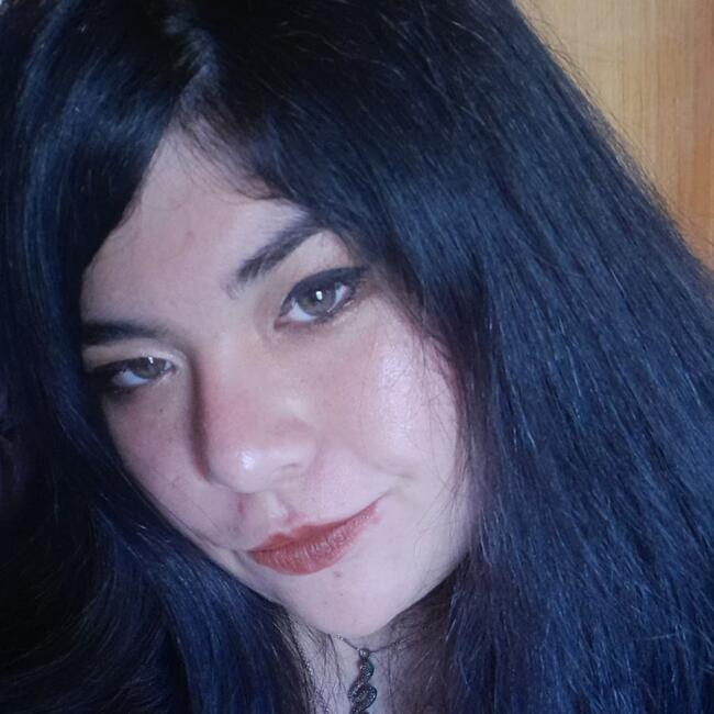 Babysitter in Viña del Mar: Fiorella Andunce