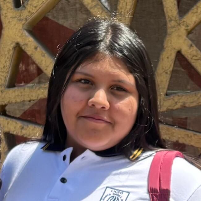 Babysitter in Antofagasta: Antonella