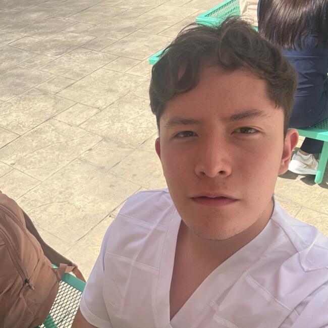 Babysitter in Monterrey: Luis