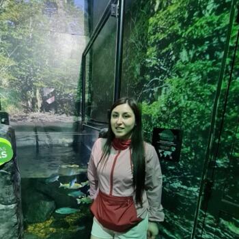 Parent San Pedro de la Paz: Damarin