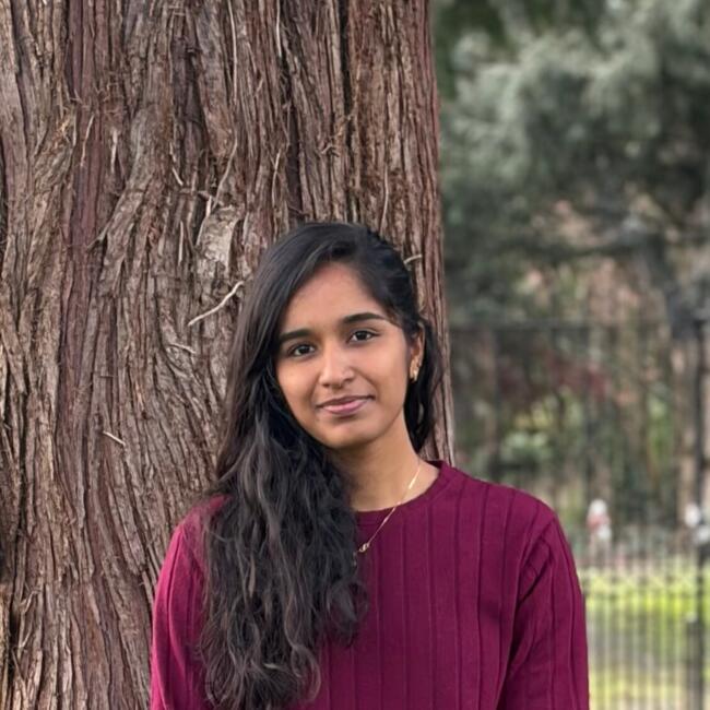 Babysitter in Lucan: Sangeetha