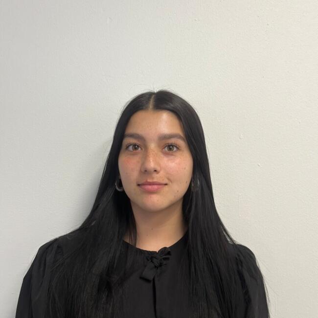 Niñera en Santiago de Chile: Camila martínez