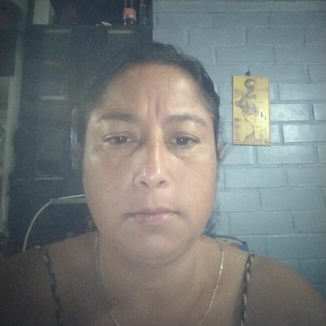 Niñera en Santiago de Chile: Viviana