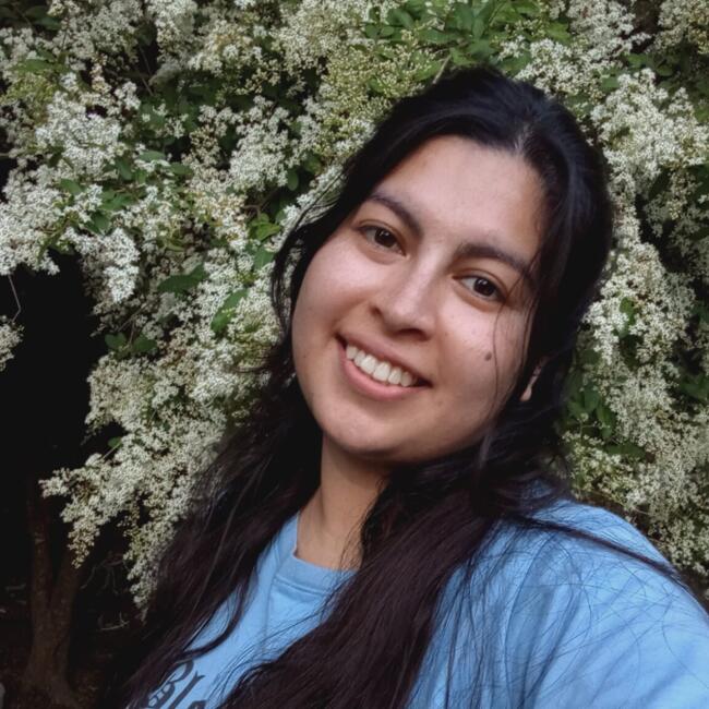 Babysitter in La Plata: Camila