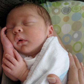 Babysitting job in Sydenham: babysitting job Vness