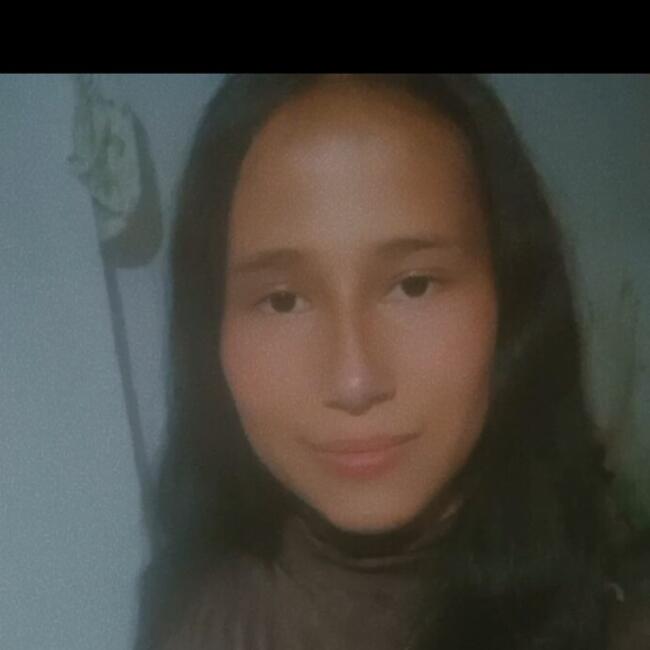 Babysitter in Erechim: Fernanda