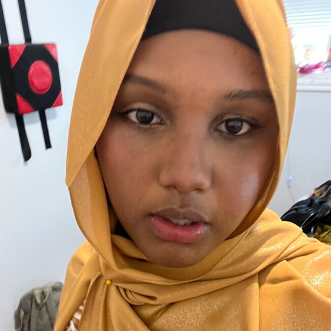 Babysitter in Chicago: Mushtaq