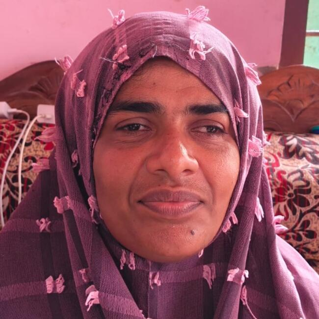 Babysitter in Alappuzha: Jishida