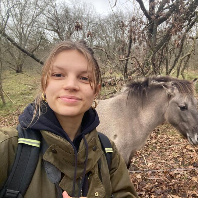 Babysitter in Delft: Miranda