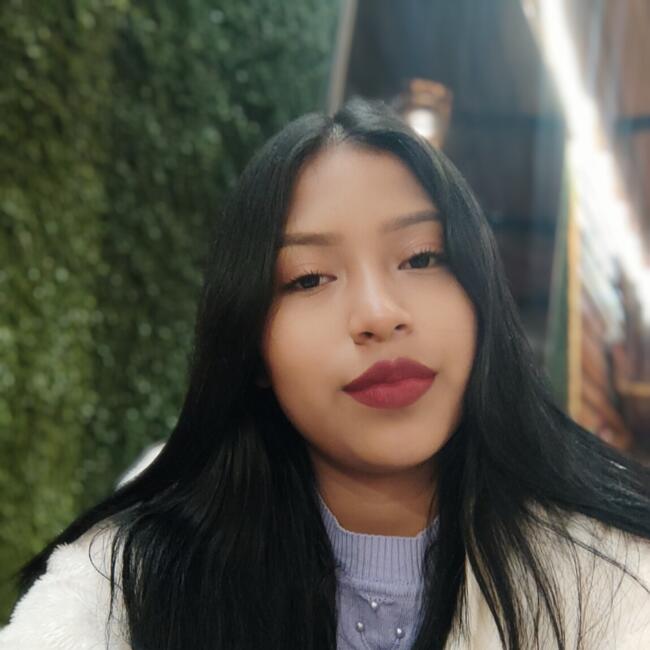 Niñera en Santo Domingo de los Colorados: Rosario chila