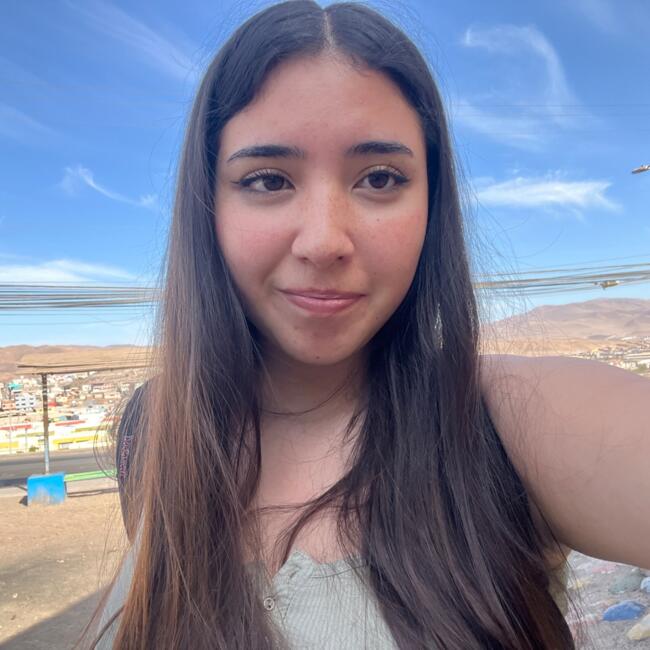 Babysitter in Alto Hospicio: Paz