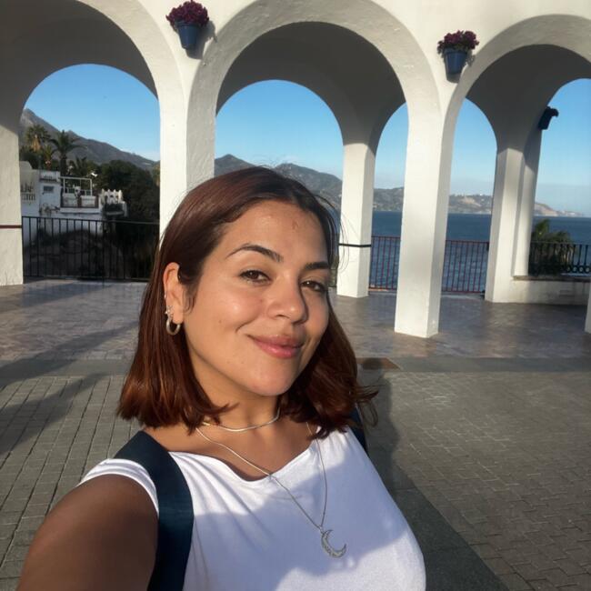 Babysitter in Basel: Genesis