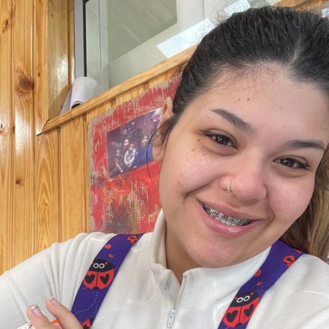 Babysitter in Punta Arenas: Camila