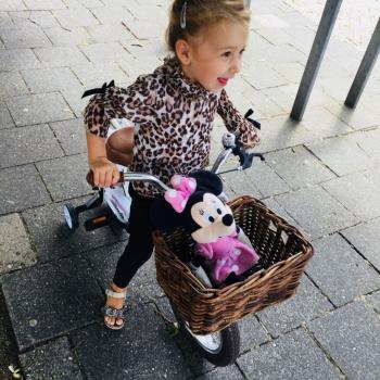 Oppaswerk Schijndel: oppasadres Sharon