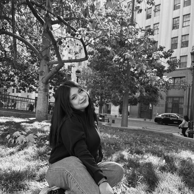 Babysitter in Villa Alemana: Romina