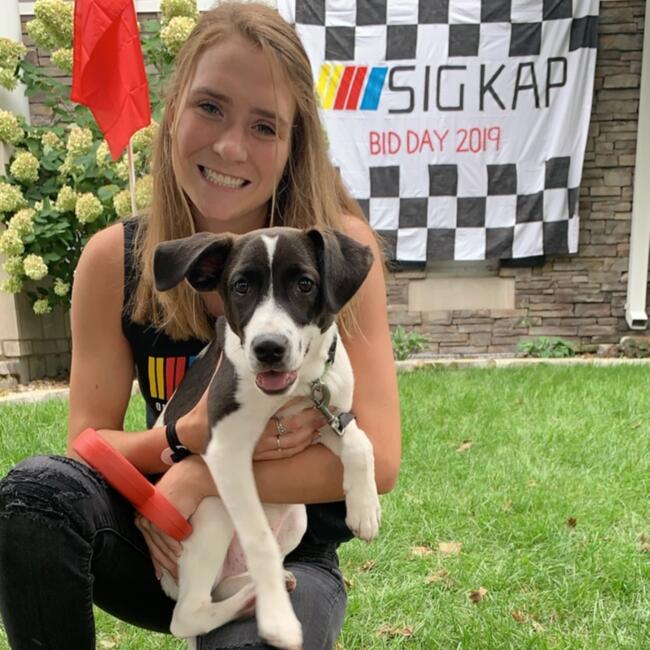 Babysitter in Bartlett (Illinois): Kerrigan