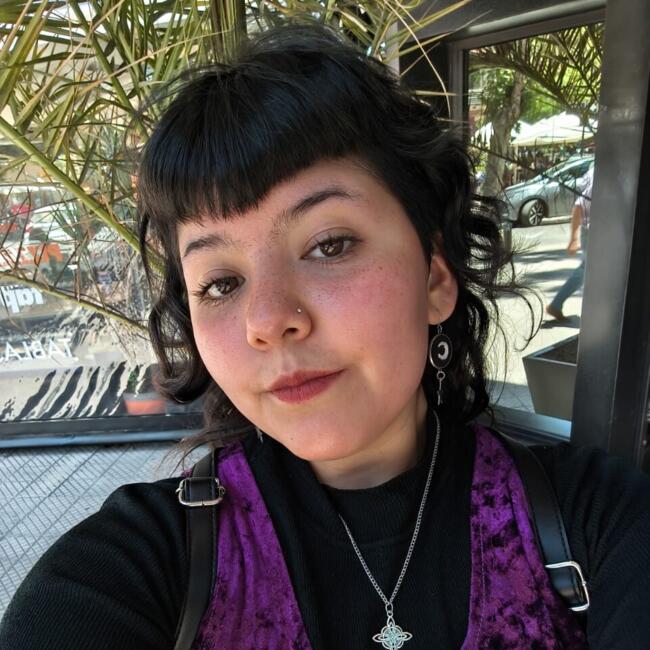 Babysitter in Santiago: Angela