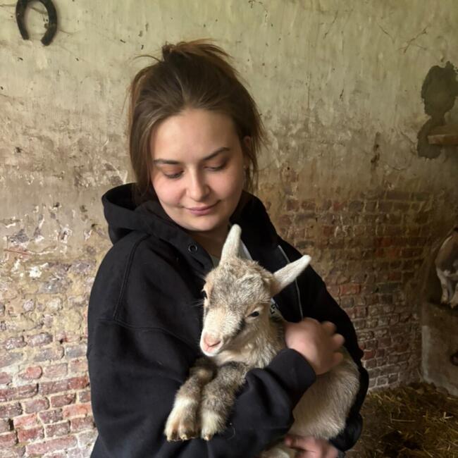 Nanny in Noyelle-Vion: Ingrid