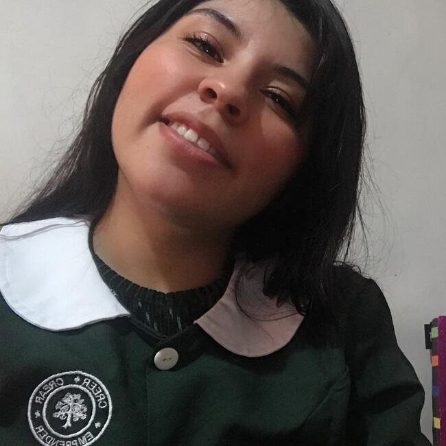 Babysitter in Vallenar: Francisca