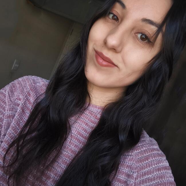 Babysitter in Temuco: Karla