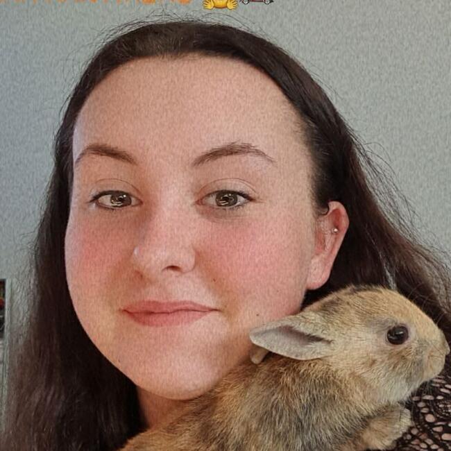 Babysitter in Bournand: Sarah