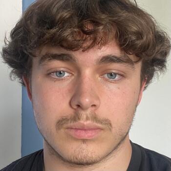 Babysitter in Lambersart: Louis