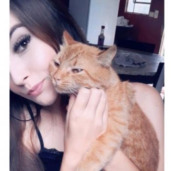 Emprego de babá em Guarapuava: emprego de babá Fernanda