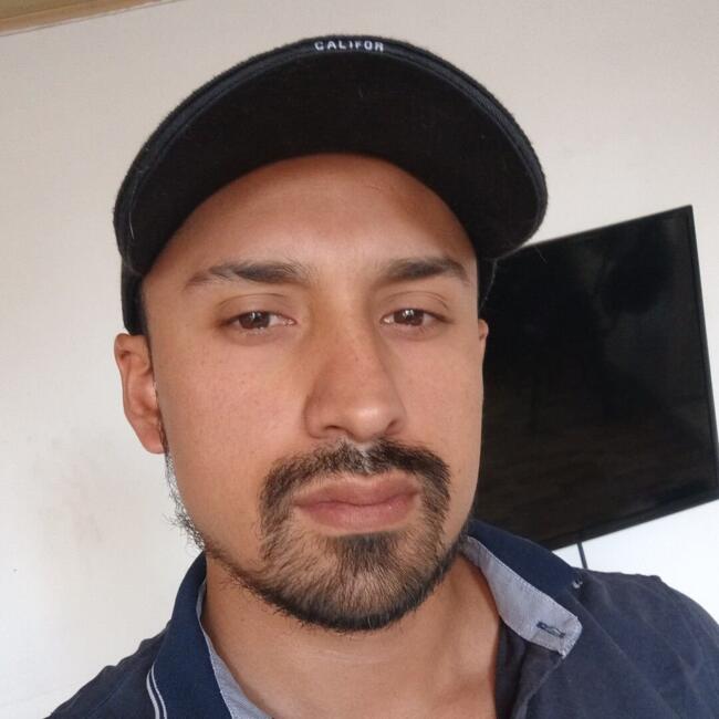 Trabajo para niñera en Bogotá: Michael