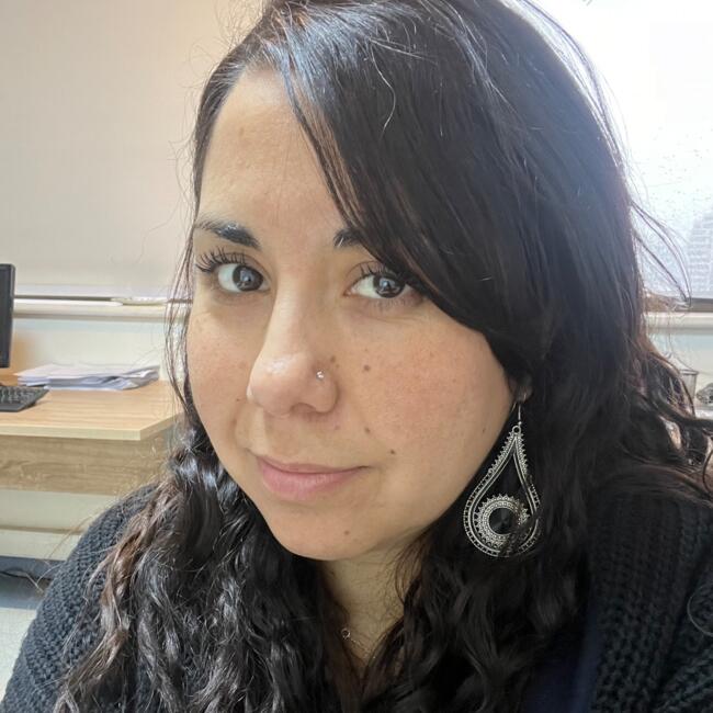 Babysitting job in San Bernardo: Carolina