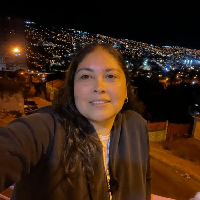 Babysitter in Temuco: BELEN ROCIO