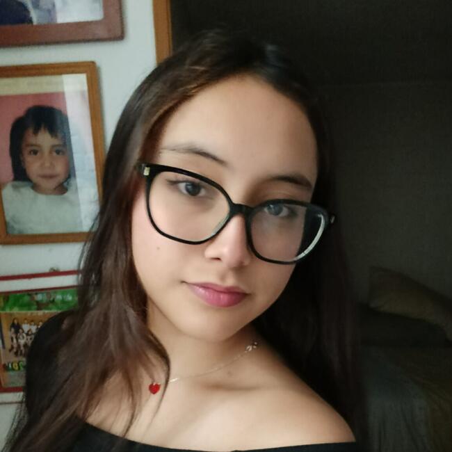 Babysitter in Puente Alto: Constanza