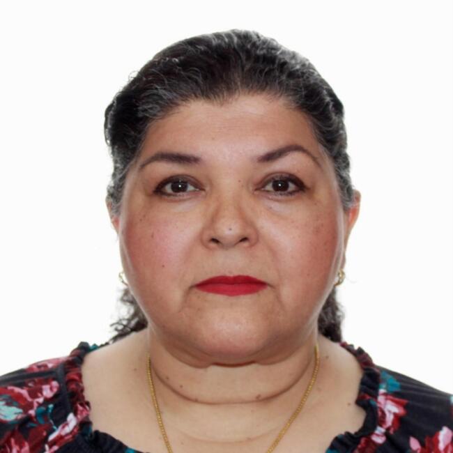 Baby-sitter in Mississauga: Lourdes