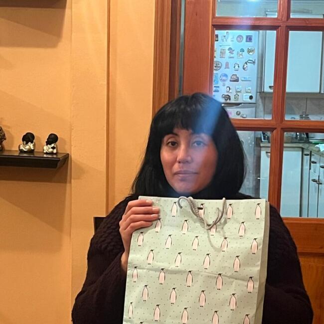 Babysitting job in Carolina: Gisell araya vega