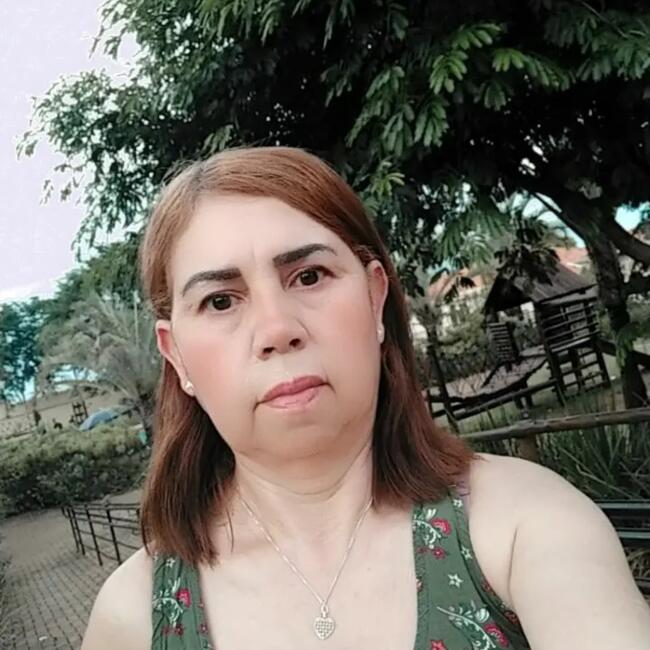 Babá em Campinas: Cleirce
