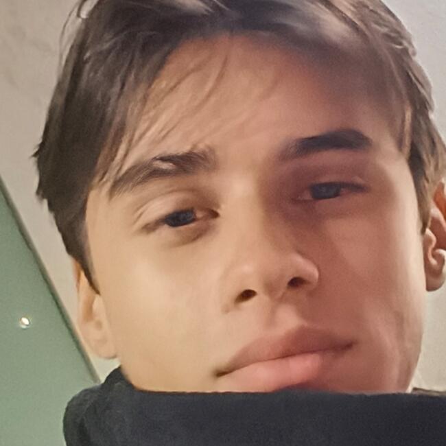 Babysitter in Cedillo del Condado: Jonathan