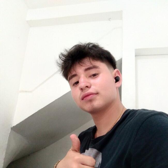 Babysitter in Santa Rosa de Cabal: Camilo