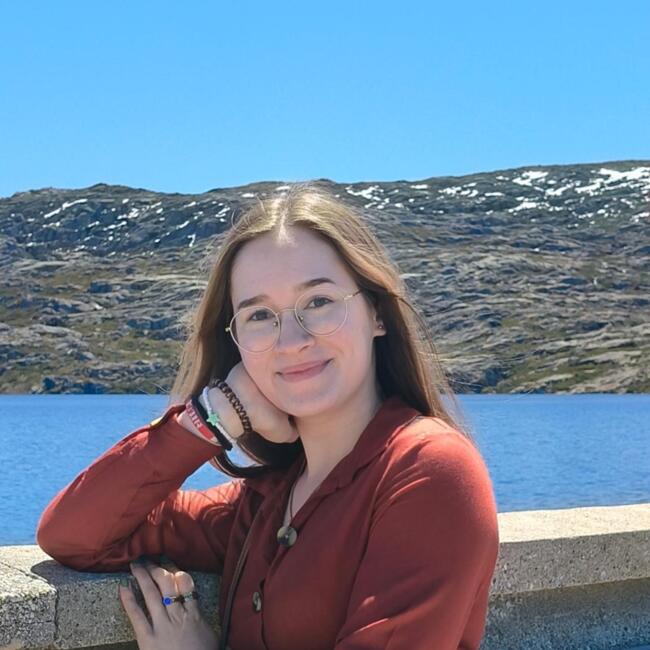 Babysitter em Covilhã: Joana