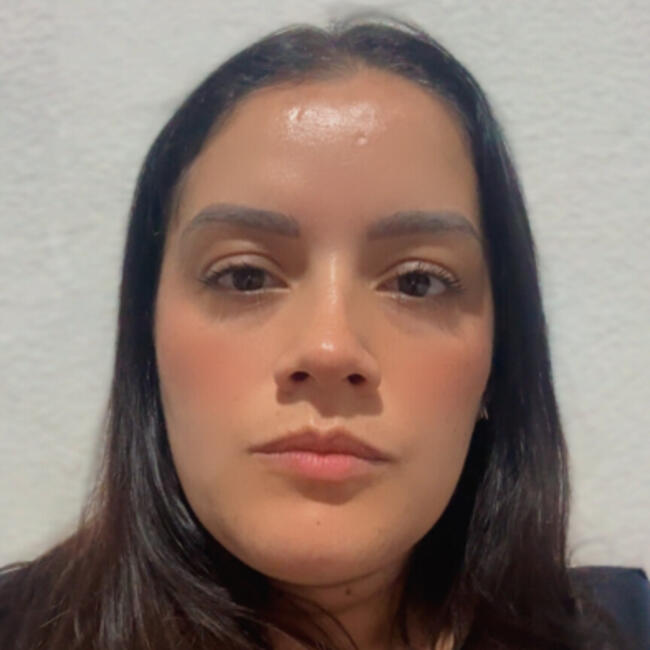Babysitter in Campinas: Ana Paula Ferreira