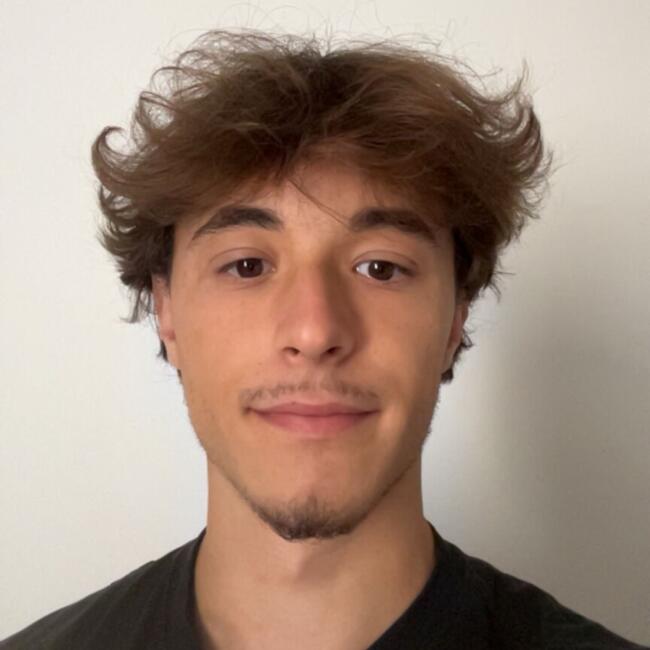 Babysitter in Paris: Ilan