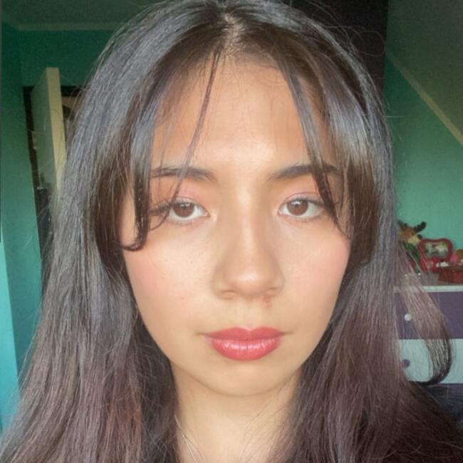 Niñera en Rancagua: Constanza