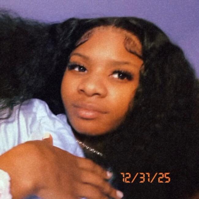 Babysitter in Chicago: Zian